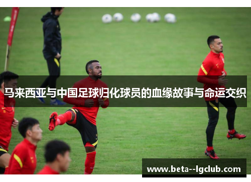 马来西亚与中国足球归化球员的血缘故事与命运交织 马来西亚与中国足球归化球员的血缘故事与命运交织