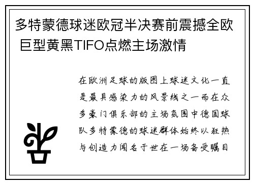 多特蒙德球迷欧冠半决赛前震撼全欧 巨型黄黑TIFO点燃主场激情